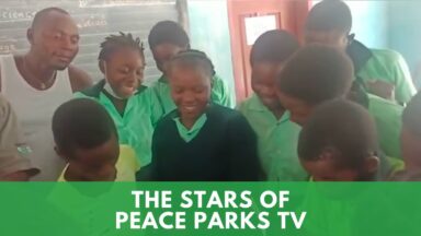The Stars Of Peace Parks TV